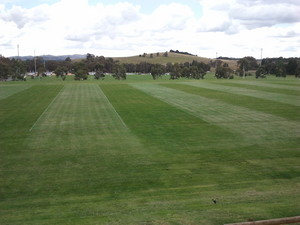 Mow Me Lawns, Garden & Lawn Care Pic 3 - Sporting Ovals