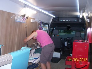 The Groom Room Pet Groomers Truelocal