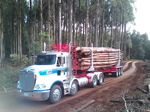 Groves Earthmoving Pic 5 - Log cartage Jinkers Skell trailers available