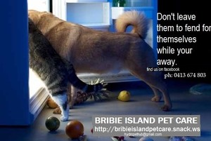 Bribie Island Pet Care Pic 3