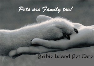 Bribie Island Pet Care Pic 5