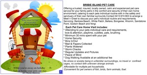 Bribie Island Pet Care Pic 2 - Bribie Island Pet Care Home Visiting Service Caring for your family pet in the comfort safety and sanctuary of their own home environment Each visit includes Attending to your pets individual care and requirements Love Attention playtime cuddles