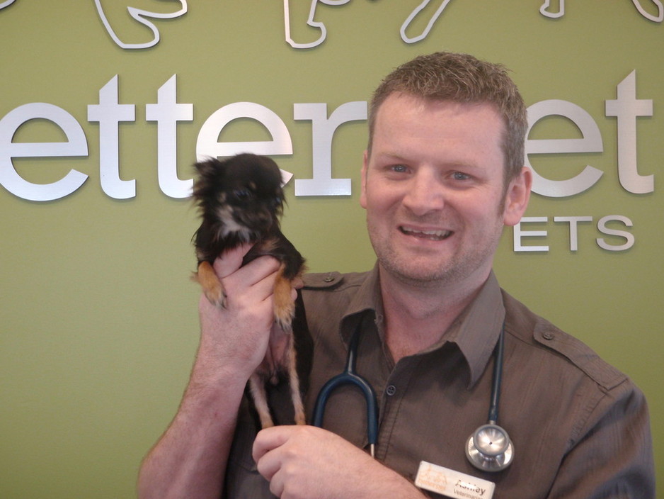 Better Pet Vets Pic 1 - Dr Ashley Young with one of our littler patients They are never to small to give lots of love