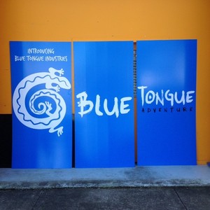 Elite Signs & Graphics Pic 2 - Wall panels