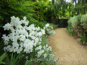 Area Design Consultants Pic 3 - Flowering exotics bring life to shady areas