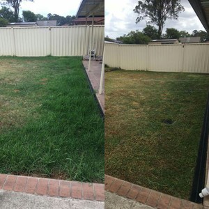 Express Lawns Cranebrook Pic 4