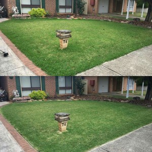 Express Lawns Cranebrook Pic 5