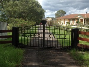 Autogates and Fencing Newcastle Pic 4