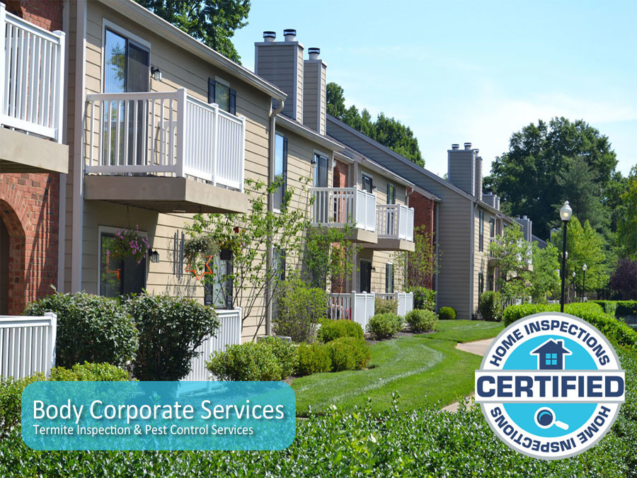 Certified Home Inspections Pic 1 - Body Corporate Pest Control and Termite Inspections