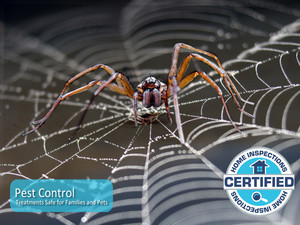 Certified Home Inspections Pic 4 - Effective Pest Control thats safe for family and pets