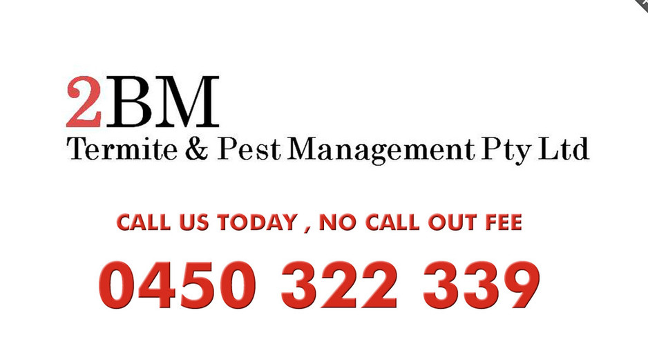 2BM Termite and Pest Management Pty Ltd Pic 1