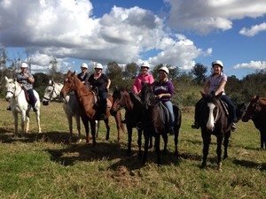 Sydney Horse Riding Centre Pic 3 - Corporate Team Building Days