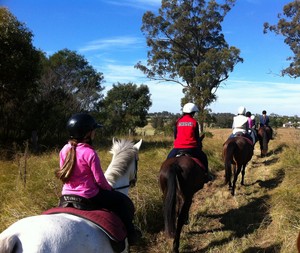 Sydney Horse Riding Centre Pic 2 - Horse Riding