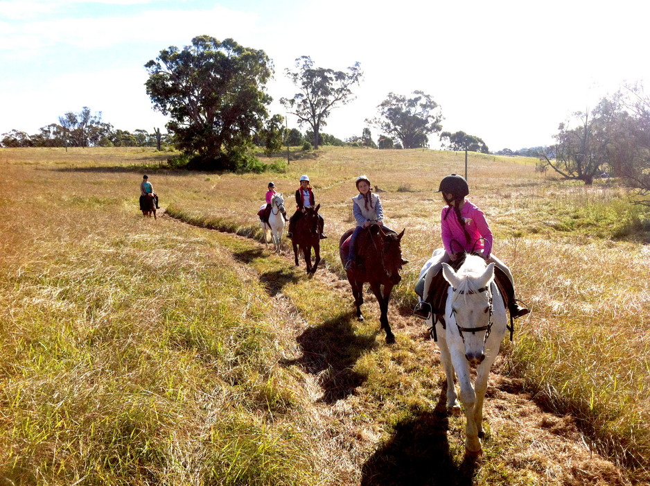 Sydney Horse Riding Centre Pic 1 - Trail Rides