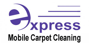 Express Carpet Cleaning Pic 3