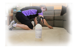 Express Carpet Cleaning Pic 4