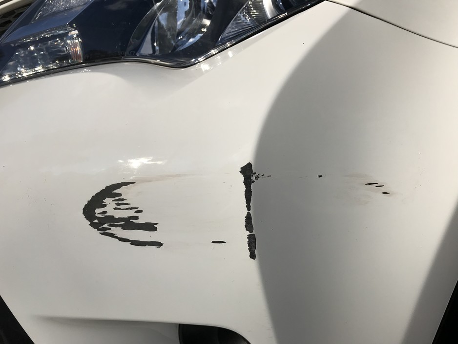 Megta Mobile Dent Repairs & Spray Painting Pic 2 - I need a quote for a spray paint touch up job for a white 2014 RAV4 My email danieltansydneyeduau