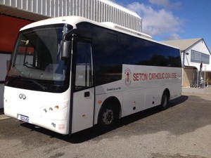 The Windscreen Man Pic 3 - Buses