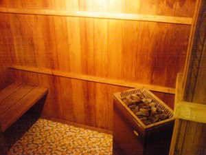 All Seasons Country Lodge Taree Pic 3 - sauna