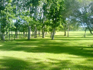 All Seasons Country Lodge Taree Pic 5 - view to the rear of the motel plenty of room for the kids