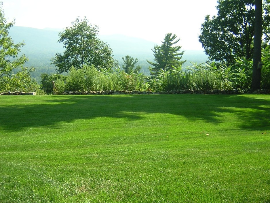 Green Grass Lawn Services Pic 1