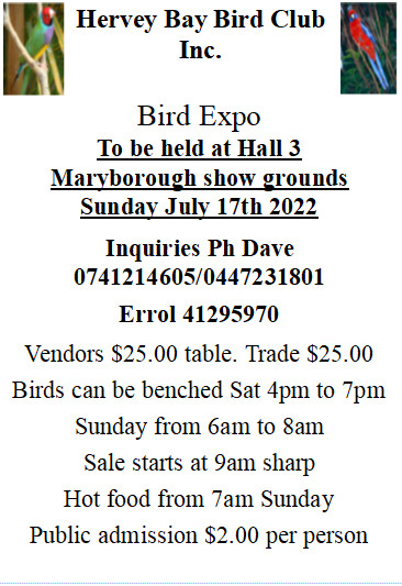 Hervey Bay Bird Club Inc Pic 1 - Our bird exposale