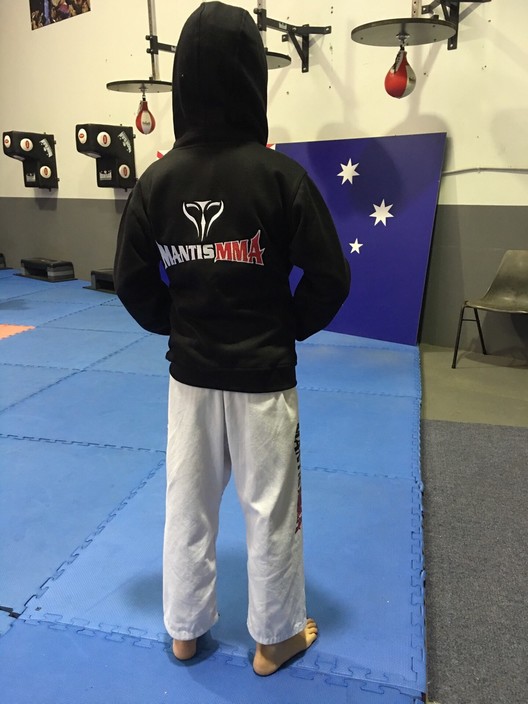 Mantis MMA (Redcliffe) Pic 2