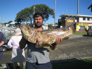 Incredible Charters Pic 3 - Incredible Cod