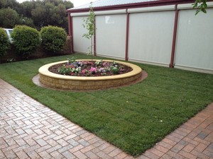 Sunnyside Instant Lawn Pic 3 - RTF Tall Fescue Lawn