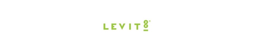 Levit8 - Managed IT Services Brisbane Pic 1