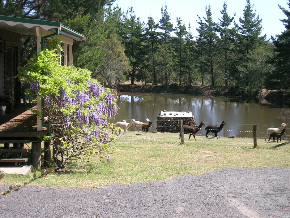 Madisons Mountain Retreat Pic 1 - Tranquil and beautiful