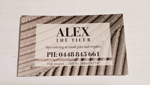 Alex the Tiler Pic 2