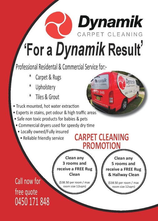 Dynamik Carpet Cleaning Pic 1