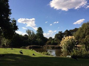 Royal Botanic Gardens Melbourne Pic 3