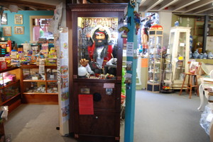 Antique Emporium Pic 3 - Fortune Telling Pirate