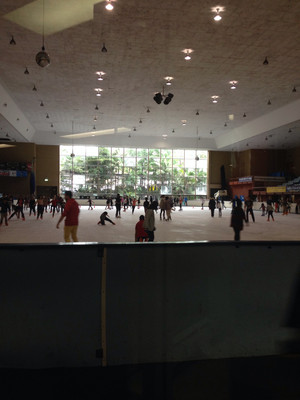 Macquarie Ice Rink Pic 3