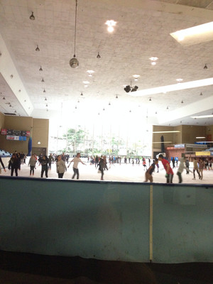 Macquarie Ice Rink Pic 2