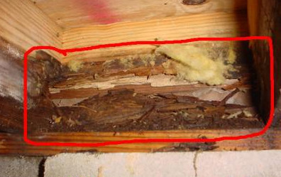 Leading Building & Pest Inspections Pic 1 - This house was 6 months old