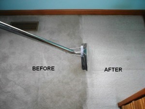 All Purpose Carpet Cleaners Pic 3