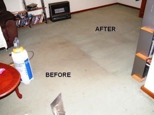 All Purpose Carpet Cleaners Pic 2