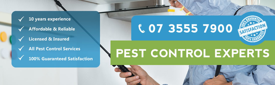 Pro Pest Control Pic 1 - Pro Pest Control Brisbane banner