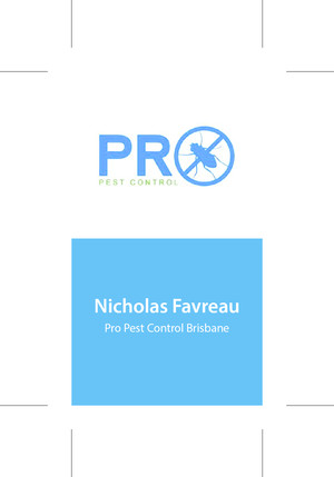 Pro Pest Control Pic 3 - Pro Pest Control Brisbane services