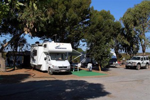 Marion Bay Caravan Park Pic 2 - Camping at its best