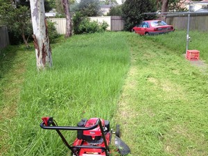 Greenie's mowing Services Pic 3 - Customer asked us just to Slash the grassbefore