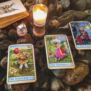 The Wild Healer Pic 3 - The Wild Healer Darwin Reiki Tarot Card Readings Animal Healing Communication