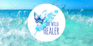 The Wild Healer Pic 4 - The Wild Healer Darwin Reiki Tarot Card Readings Animal Healing Communication