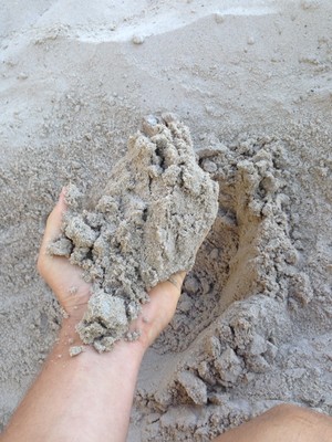 Bayside Soils Pic 2 - White Washed Sand