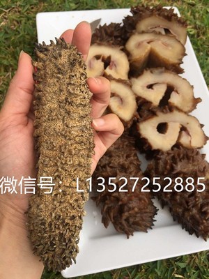 GB Australia Investment Pty Ltd Pic 4 - Wholesale dry sea cucumber