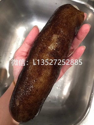 GB Australia Investment Pty Ltd Pic 5 - Wholesale sea cucumber