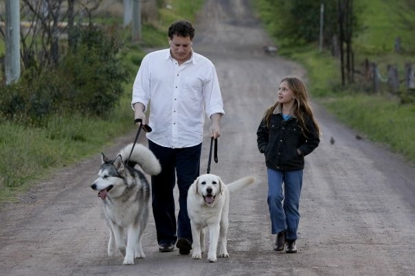 DOG TREK Pic 1 - Family dog walk